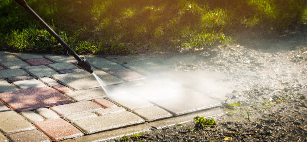 Best Driveway Pressure Washing  in Bayonet Point, FL